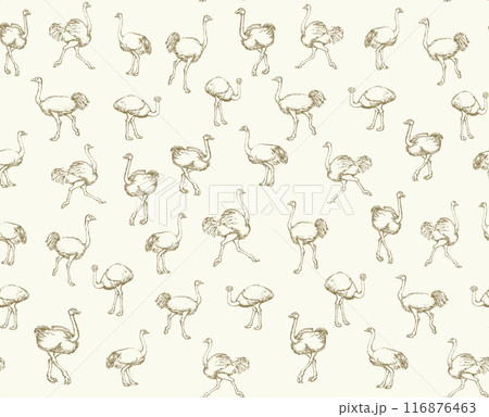 Vector drawing. Ostrich in the steppe 116876463