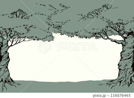 Vector background. Frame from trees 116876465