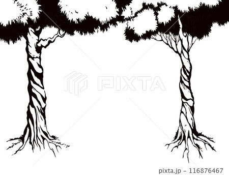 Vector background. Frame from trees Vector background. Frame from trees 116876467