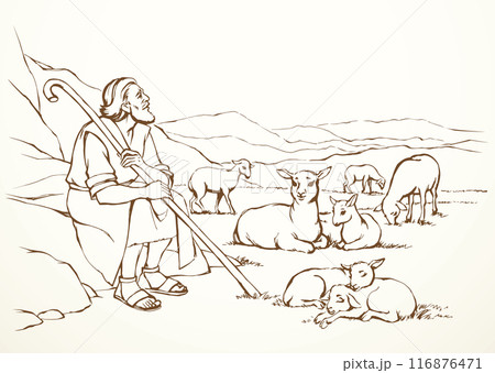 Vector drawing. Shepherd with sheep 116876471