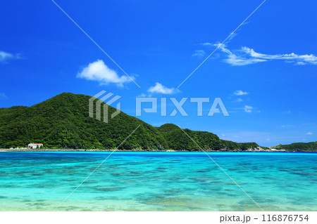 真夏の沖縄　慶良間諸島　渡嘉敷島 透明度抜群の阿波連ビーチ 116876754