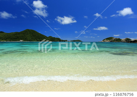 真夏の沖縄　慶良間諸島　渡嘉敷島 透明度抜群の阿波連ビーチ 116876756