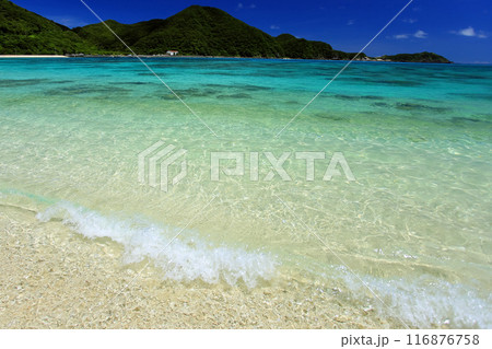 真夏の沖縄　慶良間諸島　渡嘉敷島 透明度抜群の阿波連ビーチ 116876758