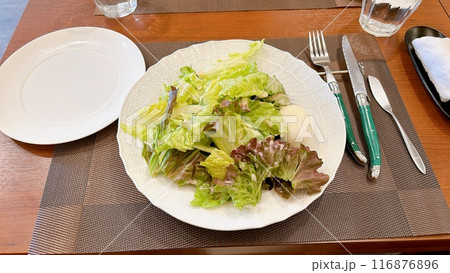 フランスパンとサラダ 116876896