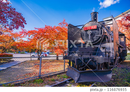 《長野県》紅葉期の小諸城址懐古園　C56 144型SL 116876935