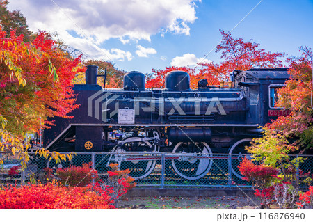 《長野県》紅葉期の小諸城址懐古園　C56 144型SL 116876940