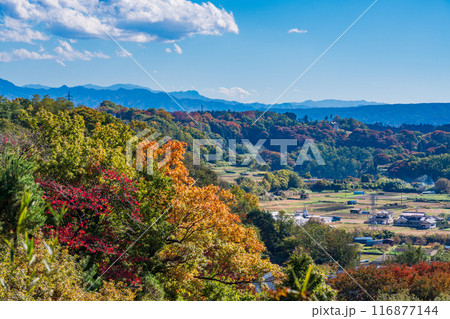 《長野県》小諸城址懐古園 富士見展望台からの眺め 富士山遠望 《長野県》小諸城址懐古園 富士見展望台からの眺め 富士山遠望 116877144