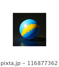 世界から見た地球 116877362