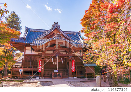 《長野県》紅葉期の小諸城址懐古園　懐古神社 116877395