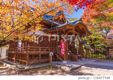 《長野県》紅葉期の小諸城址懐古園 懐古神社 《長野県》紅葉期の小諸城址懐古園 懐古神社 116877396