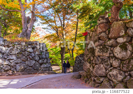 《長野県》紅葉期の小諸城址懐古園 石積み 《長野県》紅葉期の小諸城址懐古園 石積み 116877522