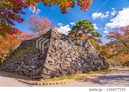 《長野県》紅葉期の小諸城址懐古園　石積み 116877535