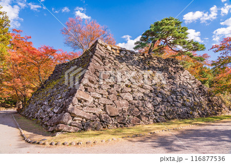 《長野県》紅葉期の小諸城址懐古園　石積み 116877536