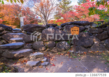 《長野県》紅葉期の小諸城址懐古園　石積み 116877539