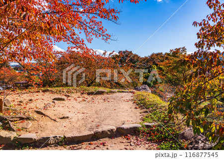 《長野県》紅葉期の小諸城址懐古園 石積み 《長野県》紅葉期の小諸城址懐古園 石積み 116877545