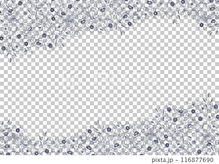 Beautiful floral line drawings, botanical frame material 116877690