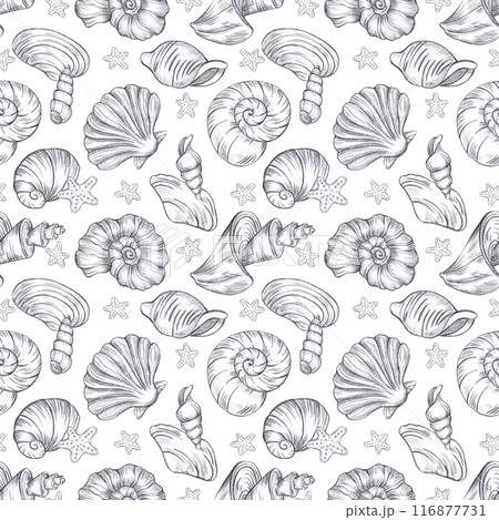 Hand drawn black coal pencil seashells seamless pattern isolated on white background. Marine illustration can be used for textile, fabric, scrapbook and other printed products. Hand drawn black coal pencil seashells seamless pattern isolated on white background. Marine illustration can be used for textile, fabric, scrapbook and other printed products. 116877731