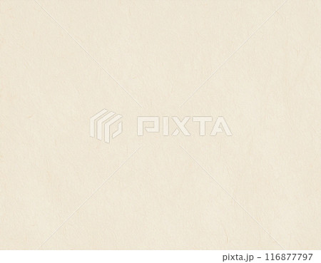 和紙のテクスチャのイメージ素材 肌色 和紙のテクスチャのイメージ素材 肌色 116877797