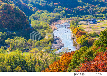 《長野県》紅葉期の小諸城址懐古園から見る小諸の街 116877928