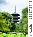 京都府 東寺 五重塔 116878545