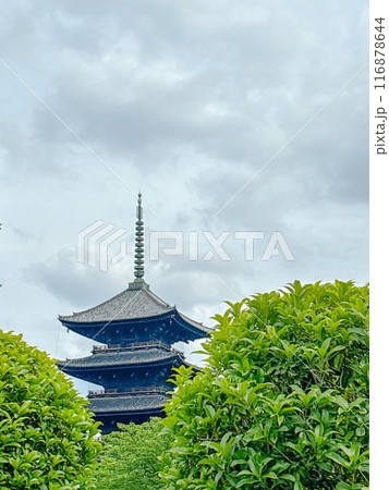 京都府 東寺 五重塔 京都府 東寺 五重塔 116878644