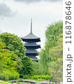 京都府 東寺 五重塔 116878646