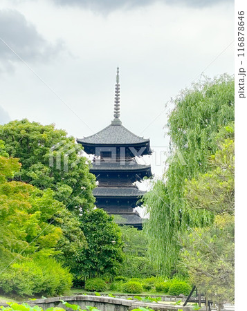 京都府 東寺 五重塔 京都府 東寺 五重塔 116878646