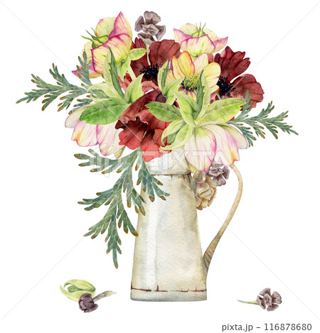 Hellebore, poppy anemone peony flowers, juniper branches cones. Watercolor hand drawn illustration, vase bouquet isolated on white. Xmas, happy new year festive, noel navidad holiday. Florist wedding. Hellebore, poppy anemone peony flowers, juniper branches cones. Watercolor hand drawn illustration, vase bouquet isolated on white. Xmas, happy new year festive, noel navidad holiday. Florist wedding. 116878680