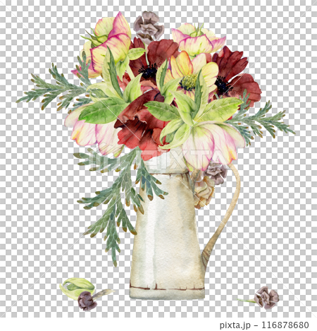 Hellebore, poppy anemone peony flowers, juniper branches cones. Watercolor hand drawn illustration, vase bouquet isolated on white. Xmas, happy new year festive, noel navidad holiday. Florist wedding. Hellebore, poppy anemone peony flowers, juniper branches cones. Watercolor hand drawn illustration, vase bouquet isolated on white. Xmas, happy new year festive, noel navidad holiday. Florist wedding. 116878680