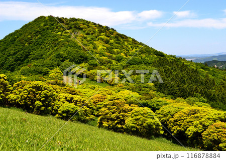 初夏の鞍岳　新緑の緑輝く山の風景 116878884
