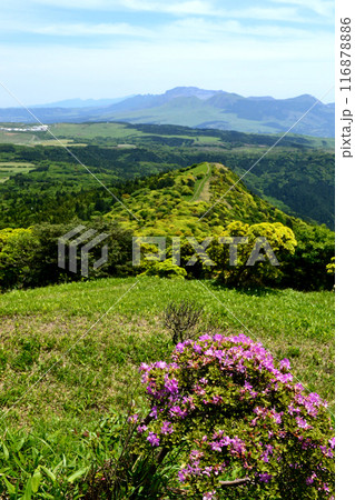 初夏の鞍岳 新緑の緑輝く山の風景 初夏の鞍岳 新緑の緑輝く山の風景 116878886