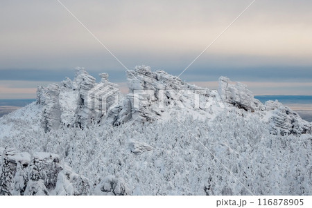 Rock cliff, Kolchinsky stone is covered with fluffy frost. 116878905