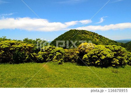 初夏の鞍岳 新緑の緑輝く山の風景 初夏の鞍岳 新緑の緑輝く山の風景 116878955