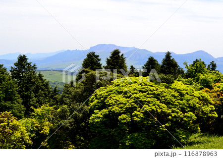 初夏の鞍岳 新緑の緑輝く山の風景 初夏の鞍岳 新緑の緑輝く山の風景 116878963