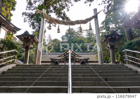 拝殿 日本最古ともいわれるの三輪明神こと大神神社(奈良県桜井市) 拝殿 日本最古ともいわれるの三輪明神こと大神神社(奈良県桜井市) 116879047