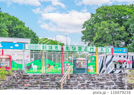 北海道釧路市 晴天の釧路市動物園 北海道釧路市 晴天の釧路市動物園 116879238