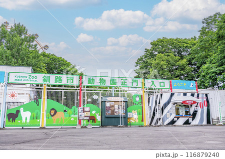 北海道釧路市　晴天の釧路市動物園 116879240