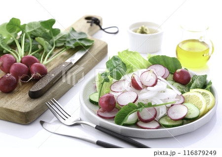 ラディッシュ 野菜サラダ 116879249