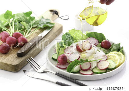 ラディッシュ 野菜サラダ ラディッシュ 野菜サラダ 116879254