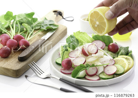 ラディッシュ 野菜サラダ ラディッシュ 野菜サラダ 116879263