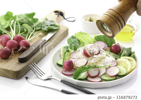 ラディッシュ 野菜サラダ 116879272