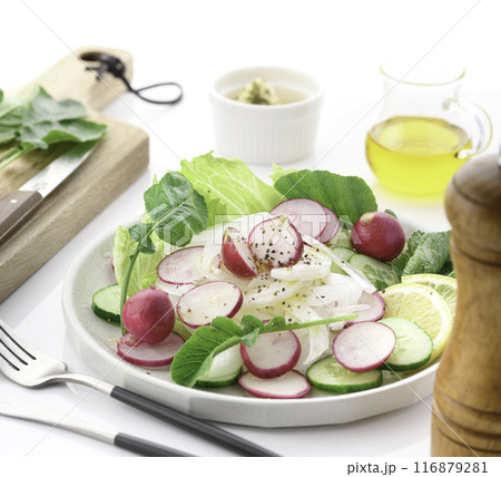ラディッシュ 野菜サラダ 116879281
