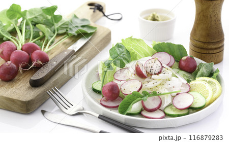 ラディッシュ 野菜サラダ 116879283