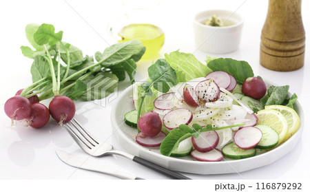 ラディッシュ 野菜サラダ ラディッシュ 野菜サラダ 116879292