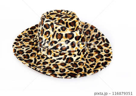 Fashionable hat Fashionable hat 116879351