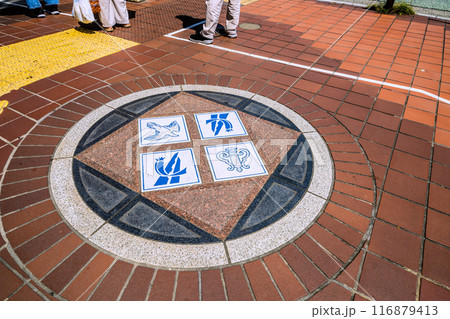 日本の平塚都市景観 東海道本線 平塚駅前などを望む。歩道には…＝令和6年7月22日 116879413