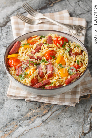 Italian Orzo Risoni with Crispy Salami Bits and vegetables closeup on the bowl. Vertical 116879456