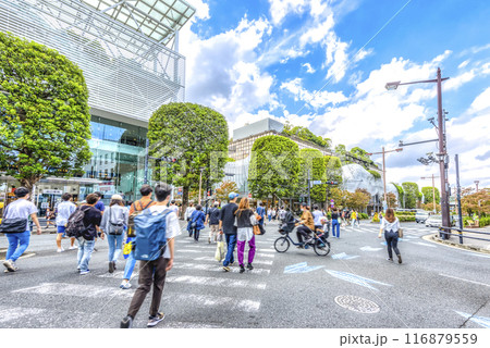 東京都世田谷区の都市風景　二子玉川駅 116879559
