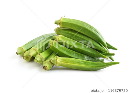 オクラ オクラ 116879720