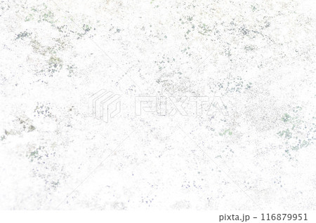 wall or fence, old wall or old fence or cement wall or gray wall or old wall wall or fence, old wall or old fence or cement wall or gray wall or old wall 116879951